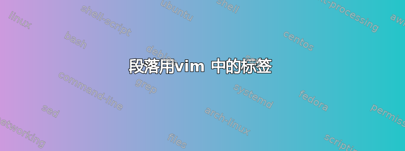 段落用vim 中的标签