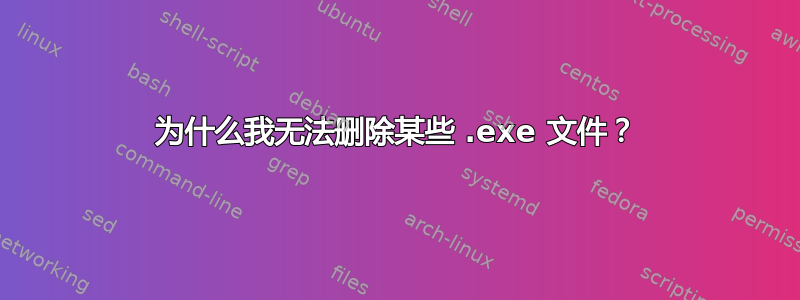 为什么我无法删除某些 .exe 文件？