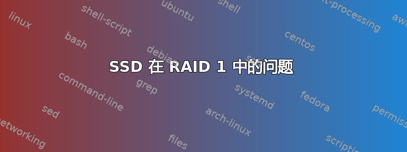 SSD 在 RAID 1 中的问题