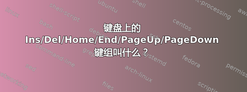 键盘上的 Ins/Del/Home/End/PageUp/PageDown 键组叫什么？