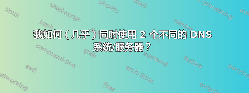 我如何（几乎）同时使用 2 个不同的 DNS 系统/服务器？