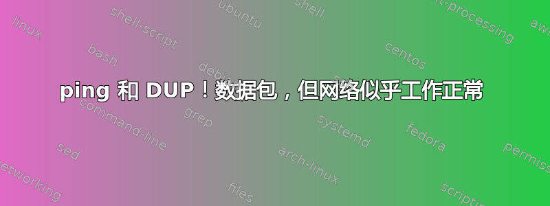 ping 和 DUP！数据包，但网络似乎工作正常