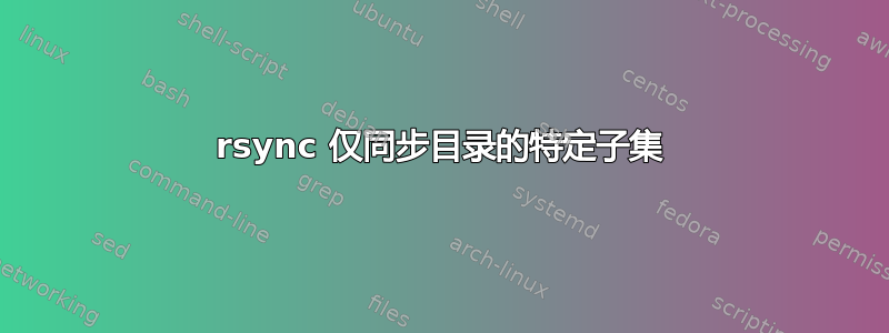 rsync 仅同步目录的特定子集