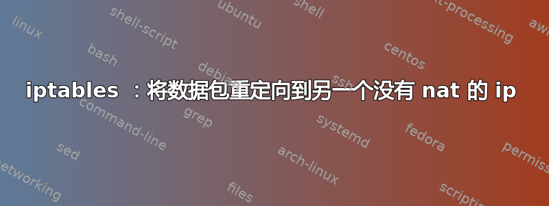 iptables ：将数据包重定向到另一个没有 nat 的 ip