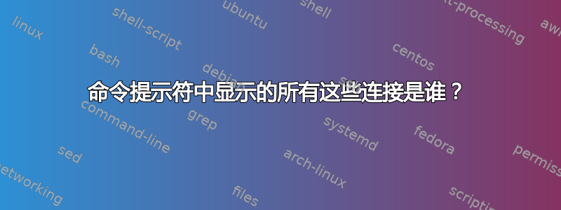 命令提示符中显示的所有这些连接是谁？