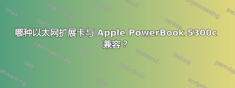 哪种以太网扩展卡与 Apple PowerBook 5300c 兼容？