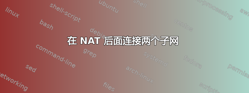 在 NAT 后面连接两个子网