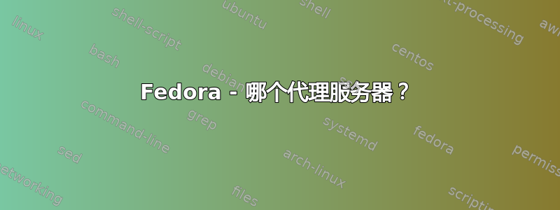 Fedora - 哪个代理服务器？