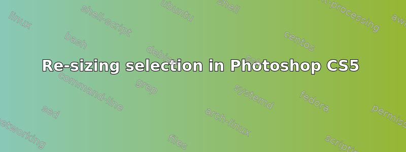 Re-sizing selection in Photoshop CS5