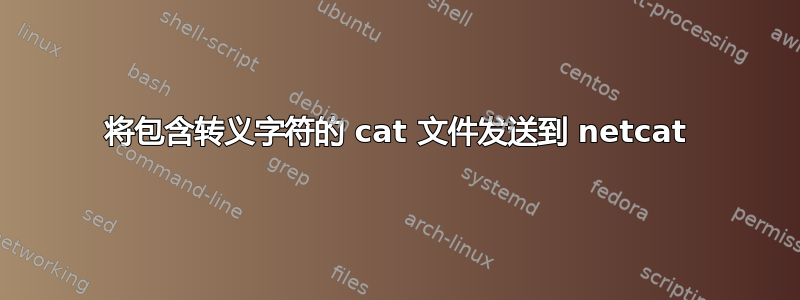 将包含转义字符的 cat 文件发送到 netcat