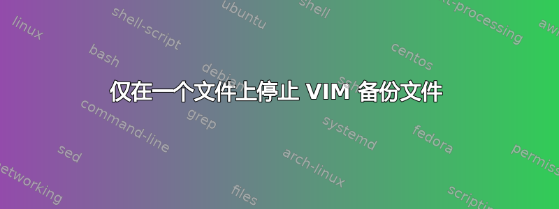 仅在一个文件上停止 VIM 备份文件