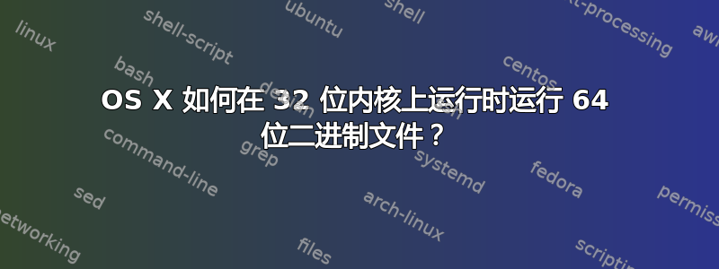 OS X 如何在 32 位内核上运行时运行 64 位二进制文​​件？