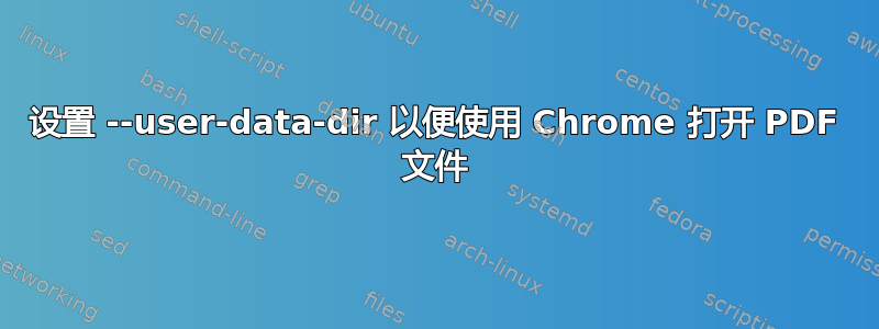 设置 --user-data-dir 以便使用 Chrome 打开 PDF 文件