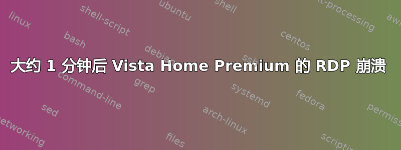 大约 1 分钟后 Vista Home Premium 的 RDP 崩溃