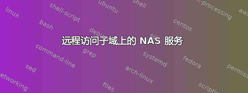 远程访问子域上的 NAS 服务