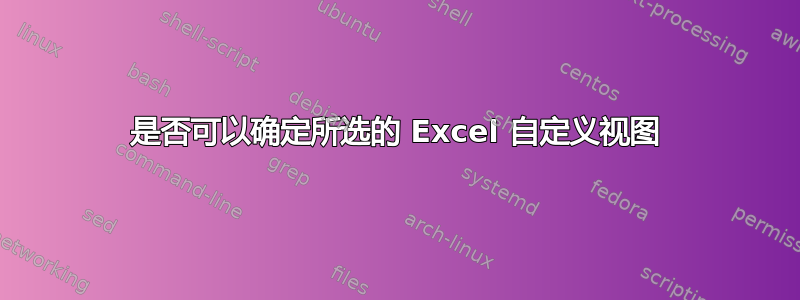 是否可以确定所选的 Excel 自定义视图