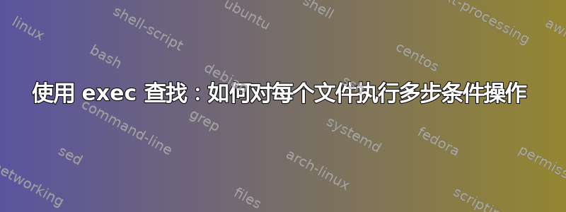 使用 exec 查找：如何对每个文件执行多步条件操作