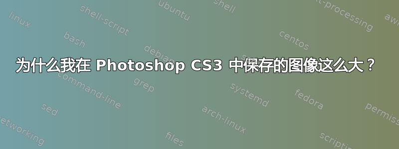 为什么我在 Photoshop CS3 中保存的图像这么大？