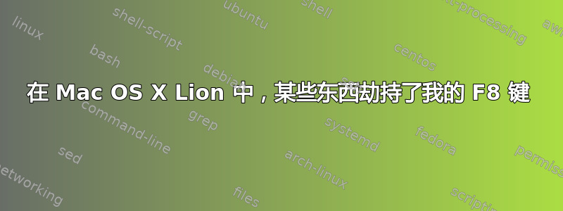 在 Mac OS X Lion 中，某些东西劫持了我的 F8 键