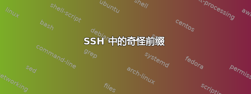 SSH 中的奇怪前缀