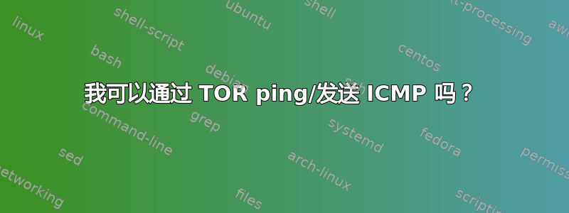 我可以通过 TOR ping/发送 ICMP 吗？