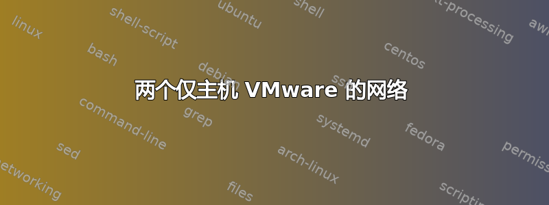 两个仅主机 VMware 的网络