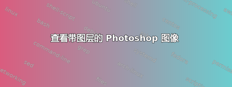 查看带图层的 Photoshop 图像