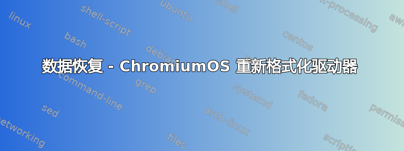 数据恢复 - ChromiumOS 重新格式化驱动器