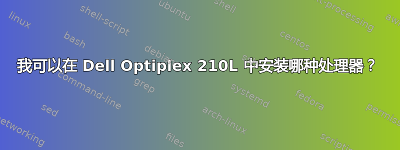 我可以在 Dell Optiplex 210L 中安装哪种处理器？