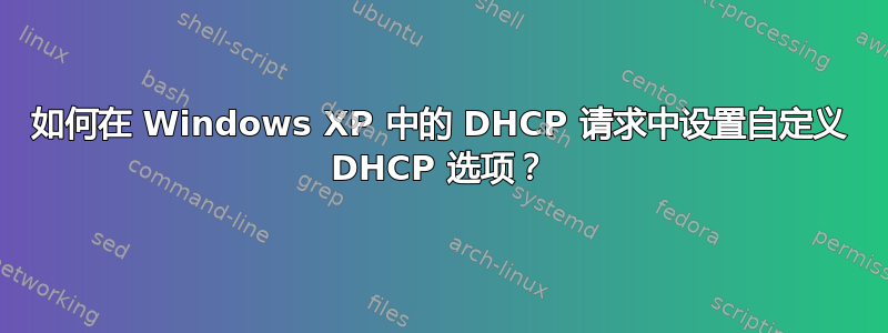 如何在 Windows XP 中的 DHCP 请求中设置自定义 DHCP 选项？