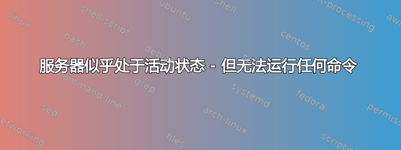 服务器似乎处于活动状态 - 但无法运行任何命令