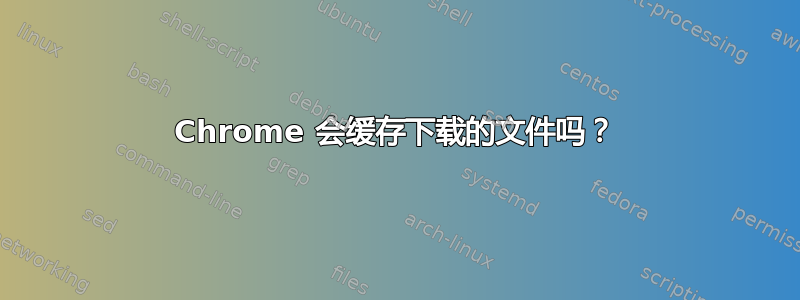 Chrome 会缓存下载的文件吗？