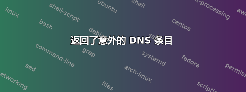 返回了意外的 DNS 条目