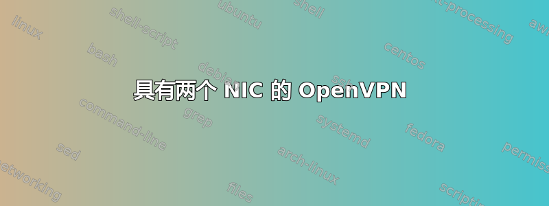 具有两个 NIC 的 OpenVPN