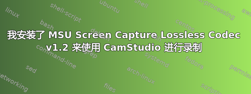 我安装了 MSU Screen Capture Lossless Codec v1.2 来使用 CamStudio 进行录制