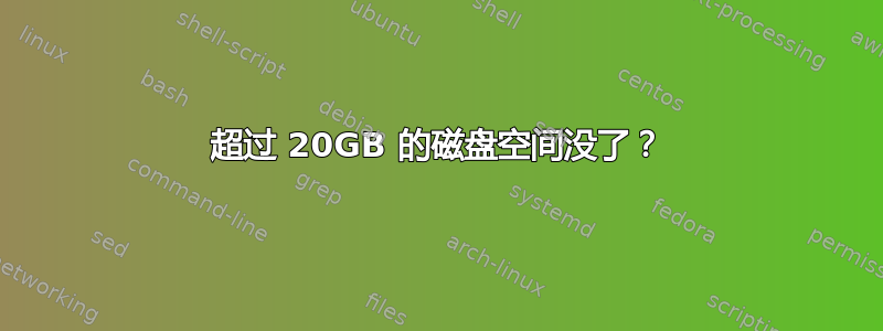 超过 20GB 的磁盘空间没了？