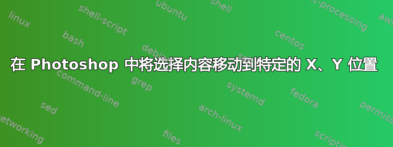在 Photoshop 中将选择内容移动到特定的 X、Y 位置