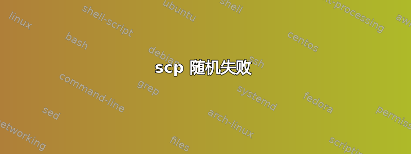 scp 随机失败