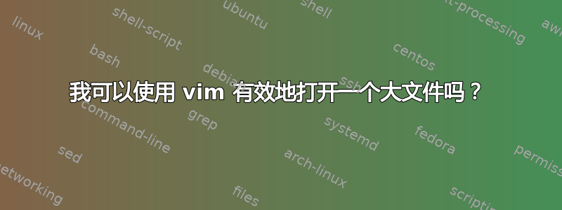 我可以使用 vim 有效地打开一个大文件吗？