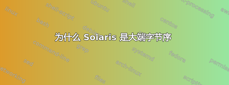 为什么 Solaris 是大端字节序