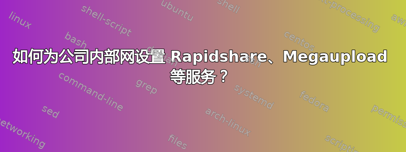 如何为公司内部网设置 Rapidshare、Megaupload 等服务？