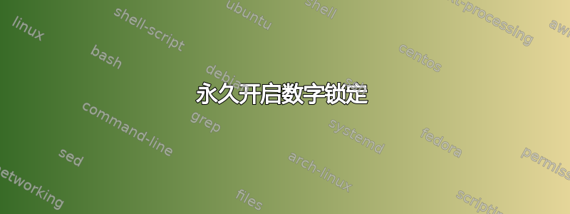 永久开启数字锁定