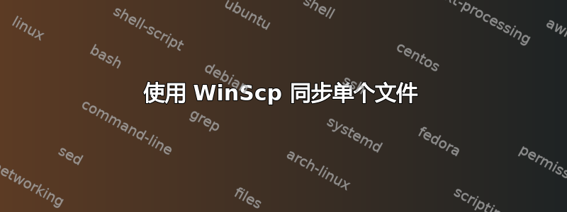 使用 WinScp 同步单个文件