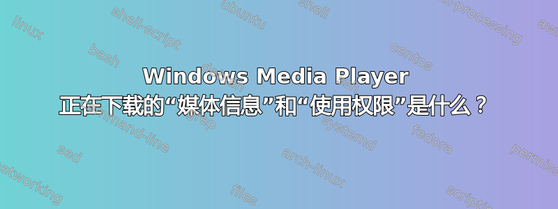 Windows Media Player 正在下载的“媒体信息”和“使用权限”是什么？