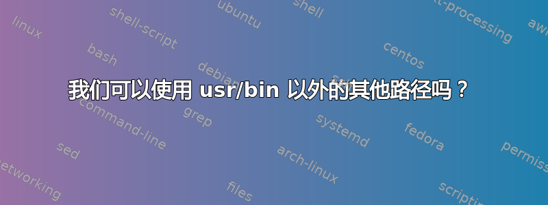 我们可以使用 usr/bin 以外的其他路径吗？