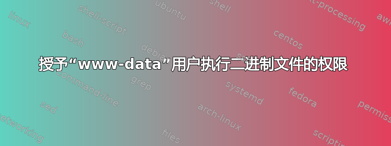 授予“www-data”用户执行二进制文件的权限