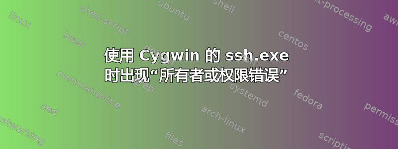 使用 Cygwin 的 ssh.exe 时出现“所有者或权限错误”