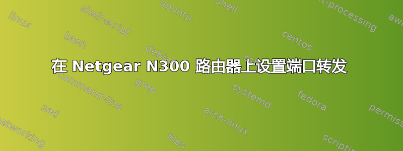 在 Netgear N300 路由器上设置端口转发