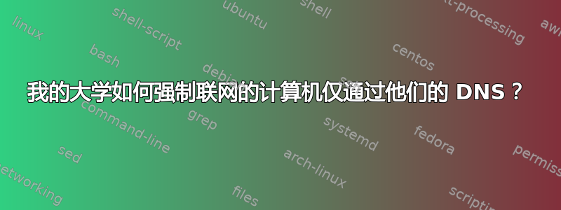 我的大学如何强制联网的计算机仅通过他们的 DNS？