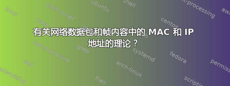 有关网络数据包和帧内容中的 MAC 和 IP 地址的理论？